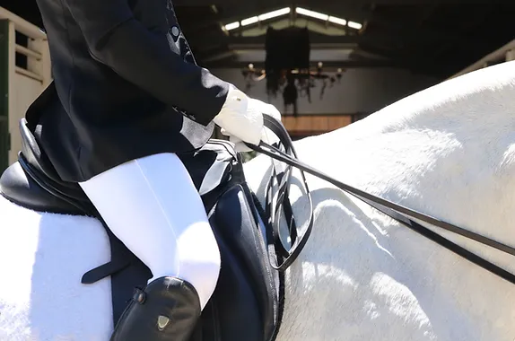 Centaur Physical therapy uses equestrian physical therapy for a variety of techniques to help riders